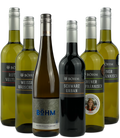 Weinpaket Oblita-Weine